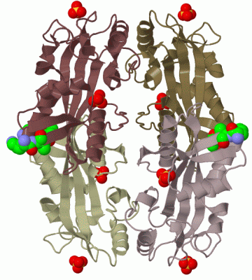 Image Biol.Unit 1 - manually