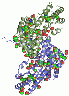 Image Asym./Biol. Unit - manually