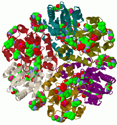 Image Biol.Unit 1 - manually