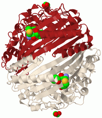 Image Biol.Unit 1 - manually