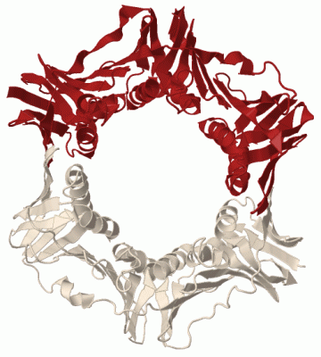 Image Biol.Unit 1 - manually