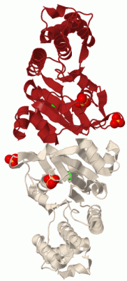 Image Biol.Unit 1 - manually