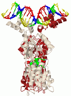 Image Biol.Unit 1 - manually