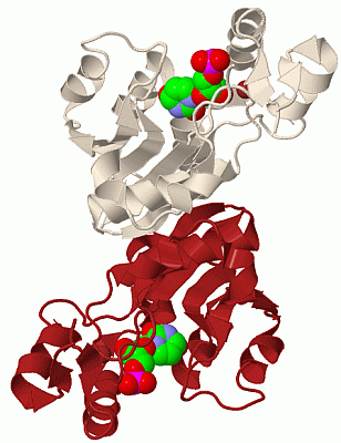 Image Biol.Unit 1 - manually