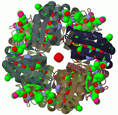 Image Biol.Unit 1 - manually