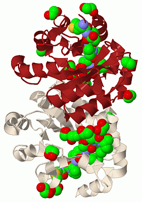 Image Biol.Unit 1 - manually