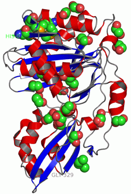 Image Asym./Biol. Unit - manually