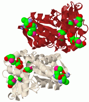 Image Biol.Unit 1 - manually