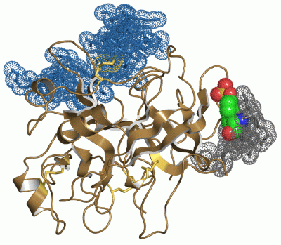 Image Asym./Biol. Unit - manually