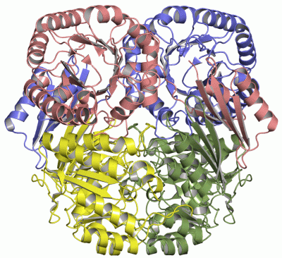 Image Asym./Biol. Unit - manually