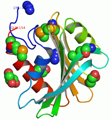 Image Asym./Biol. Unit - manually