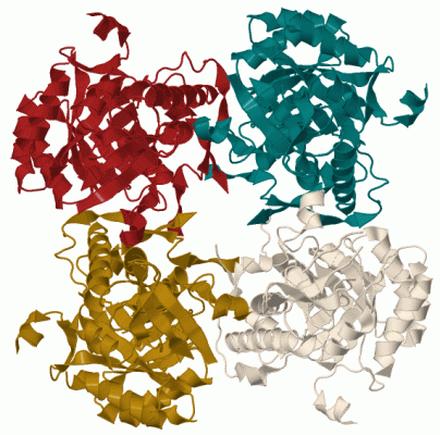 Image Biol.Unit 1 - manually