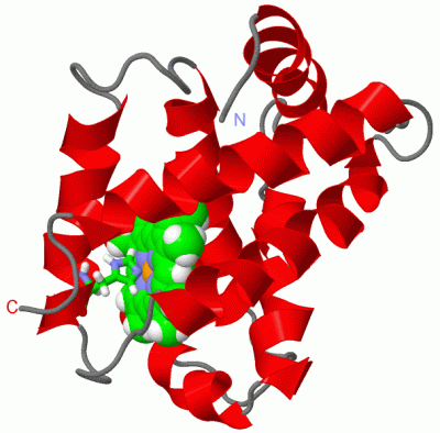 Image NMR Structure - manually