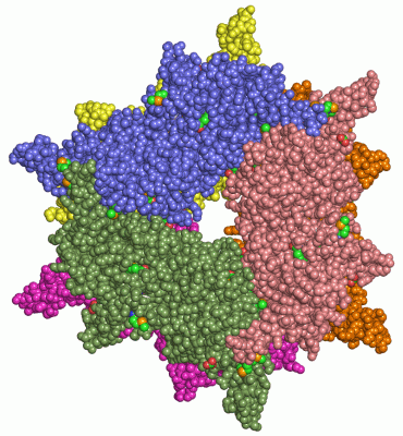 Image Asym./Biol. Unit - manually