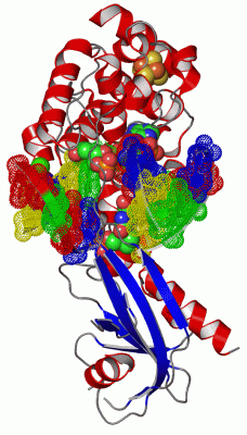 Image Asym./Biol. Unit - manually