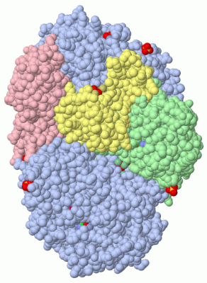 Image Biol.Unit 1 - manually