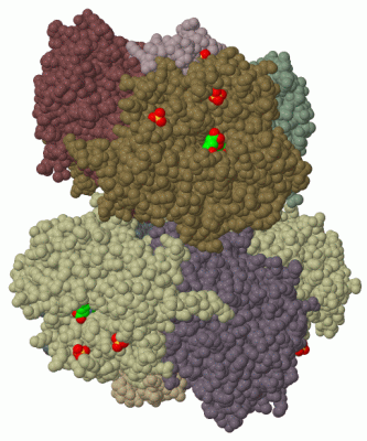 Image Biol.Unit 2 - manually