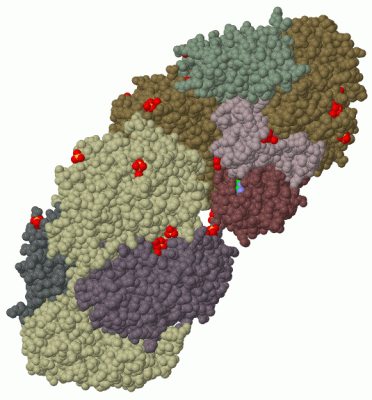 Image Biol.Unit 3 - manually