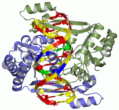 Image Asym./Biol. Unit - manually