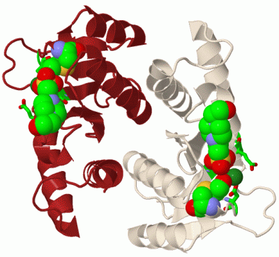 Image Biol.Unit 1 - manually