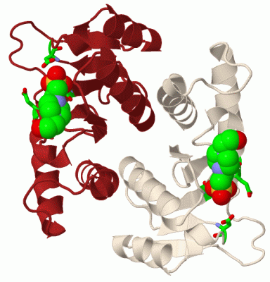 Image Biol.Unit 1 - manually