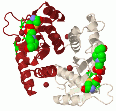 Image Biol.Unit 1 - manually