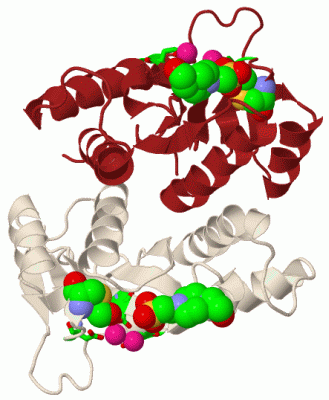 Image Biol.Unit 1 - manually