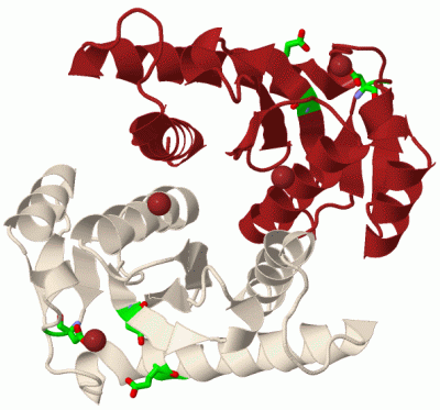 Image Biol.Unit 1 - manually