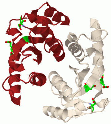 Image Biol.Unit 1 - manually