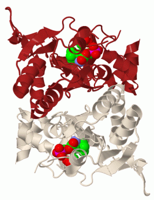 Image Biol.Unit 1 - manually