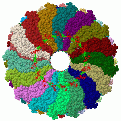 Image Biol.Unit 1 - manually