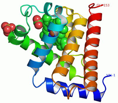 Image Asym./Biol. Unit - manually