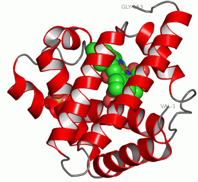 Image Asym./Biol. Unit - manually