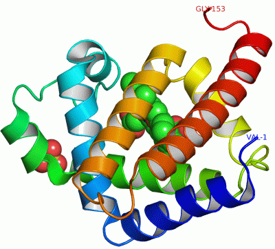 Image Asym./Biol. Unit - manually