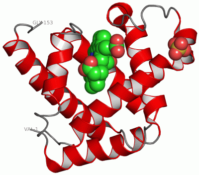 Image Asym./Biol. Unit - manually