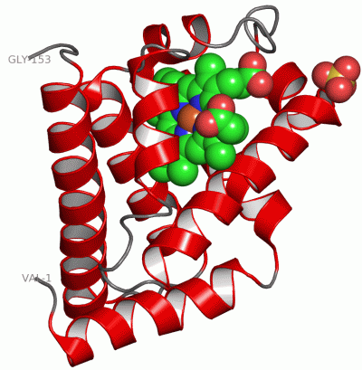 Image Asym./Biol. Unit - manually