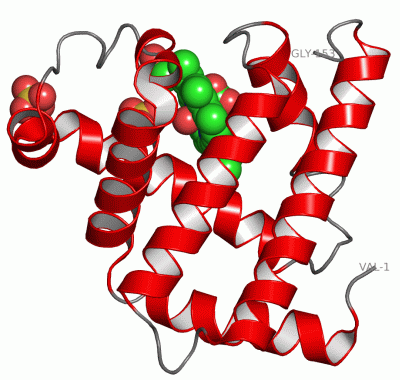 Image Asym./Biol. Unit - manually