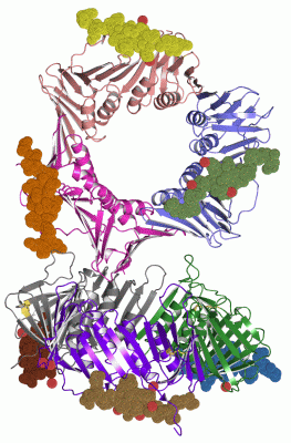 Image Asym.Unit - manually