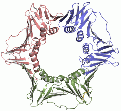 Image Asym./Biol. Unit - manually