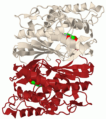 Image Biol.Unit 1 - manually