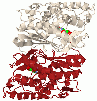 Image Biol.Unit 1 - manually