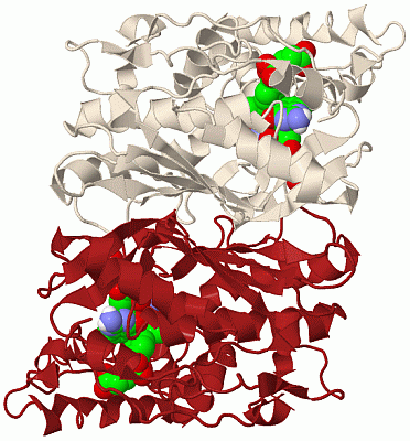 Image Biol.Unit 1 - manually