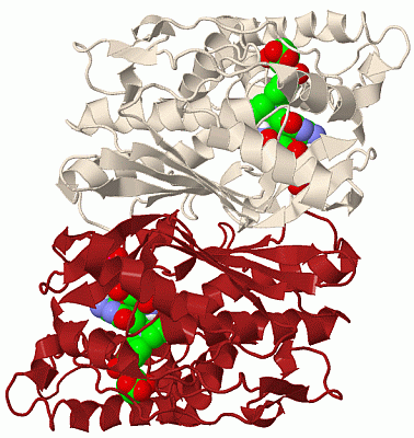 Image Biol.Unit 1 - manually