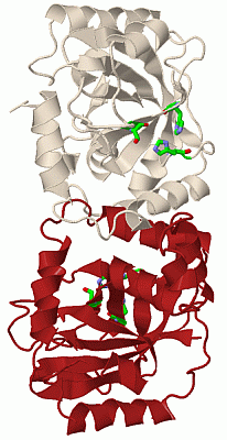 Image Biol.Unit 1 - manually