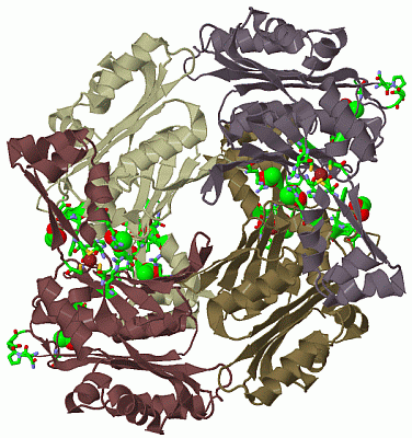 Image Biol.Unit 1 - manually