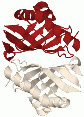 Image Biol.Unit 1 - manually