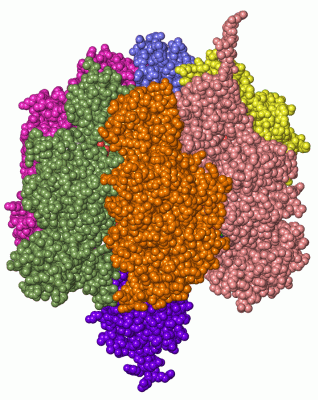 Image Asym./Biol. Unit - manually