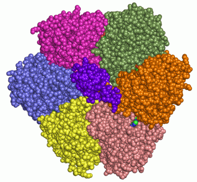 Image Asym./Biol. Unit - manually