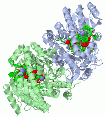 Image Asym./Biol. Unit - manually