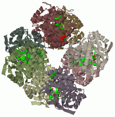 Image Biol.Unit 1 - manually